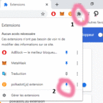 epingler-application-polkadot-js