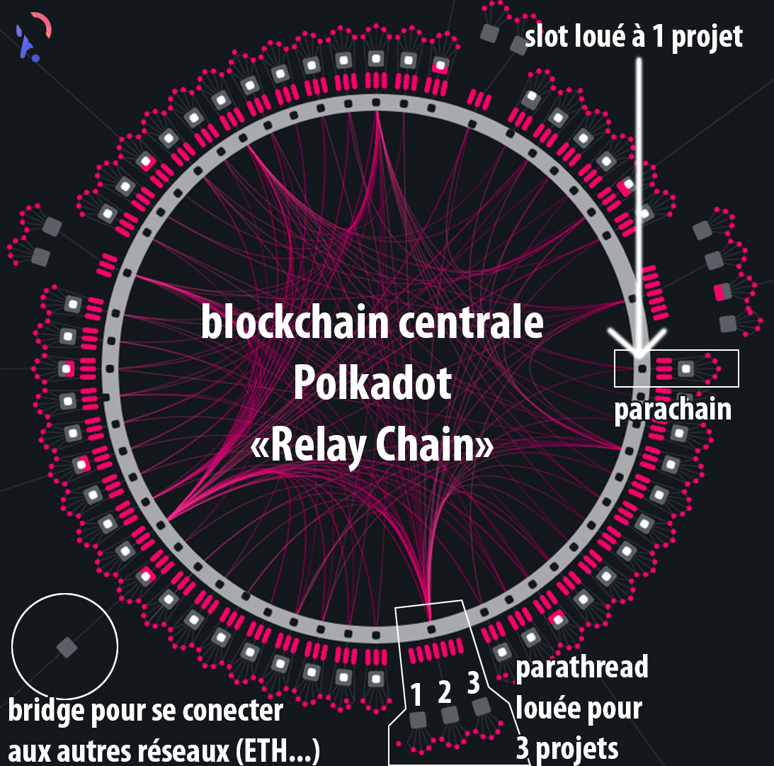 blockchain Polkadot debutant