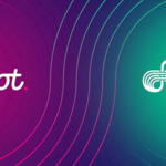 crowdloan-nodle-polkadot.jpg