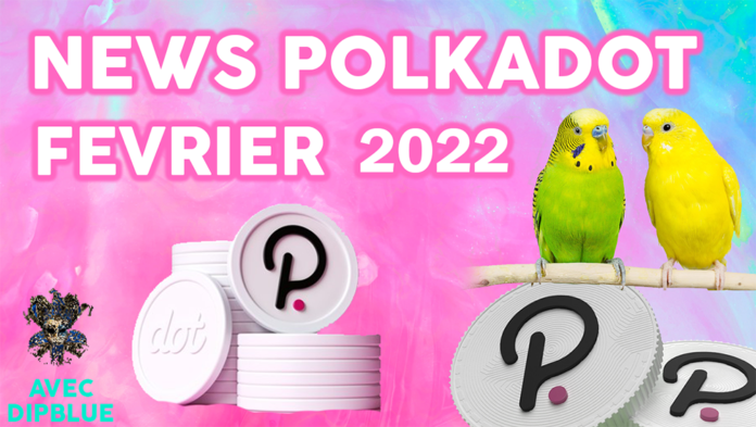 news polkadot fevrier 2022